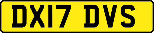 DX17DVS
