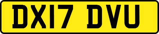 DX17DVU