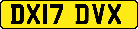 DX17DVX
