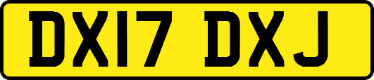 DX17DXJ