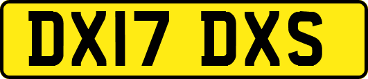 DX17DXS