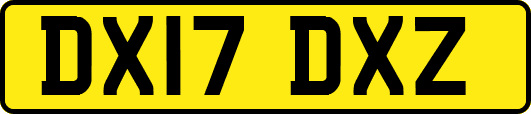 DX17DXZ