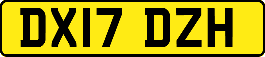 DX17DZH