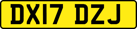 DX17DZJ