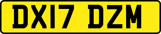 DX17DZM
