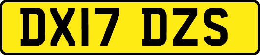 DX17DZS