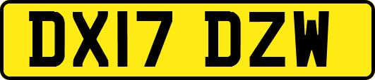 DX17DZW