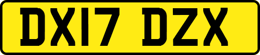 DX17DZX