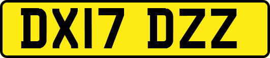 DX17DZZ