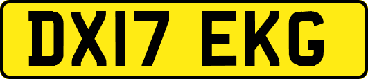 DX17EKG