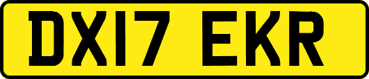 DX17EKR