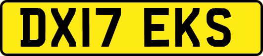 DX17EKS