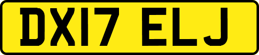 DX17ELJ