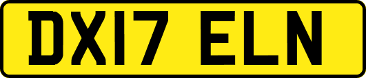 DX17ELN
