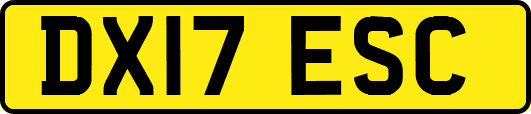 DX17ESC