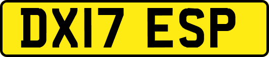 DX17ESP