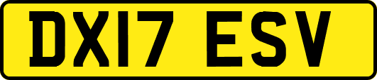 DX17ESV