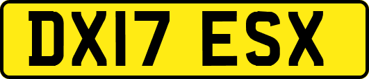 DX17ESX