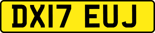 DX17EUJ