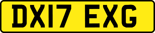 DX17EXG