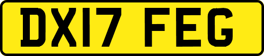DX17FEG