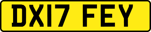DX17FEY