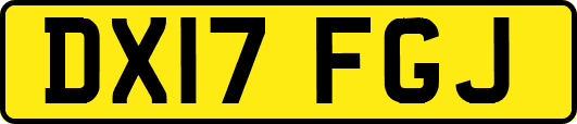 DX17FGJ