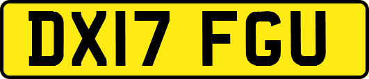 DX17FGU