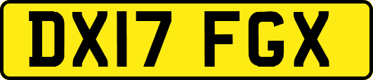 DX17FGX