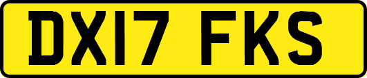 DX17FKS