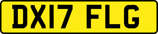 DX17FLG