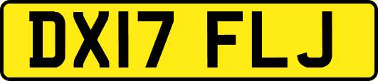 DX17FLJ
