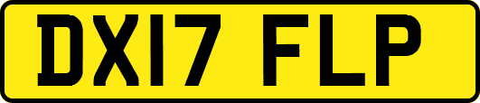 DX17FLP