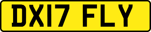 DX17FLY