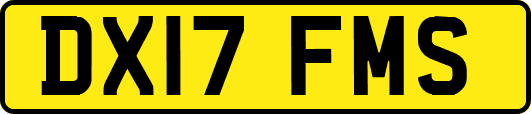 DX17FMS