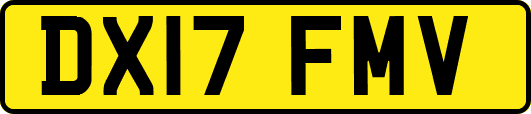 DX17FMV