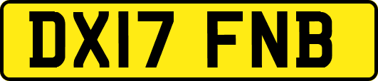 DX17FNB