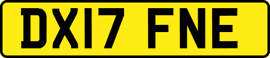 DX17FNE