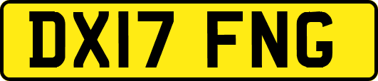 DX17FNG