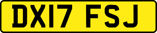DX17FSJ