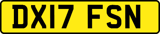 DX17FSN