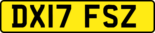 DX17FSZ