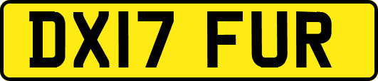 DX17FUR