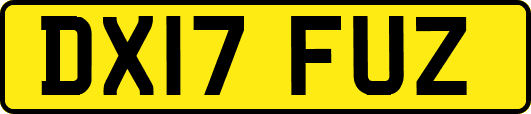 DX17FUZ
