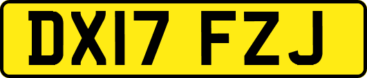DX17FZJ