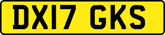 DX17GKS