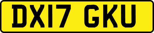 DX17GKU