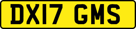 DX17GMS