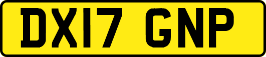 DX17GNP