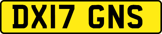 DX17GNS